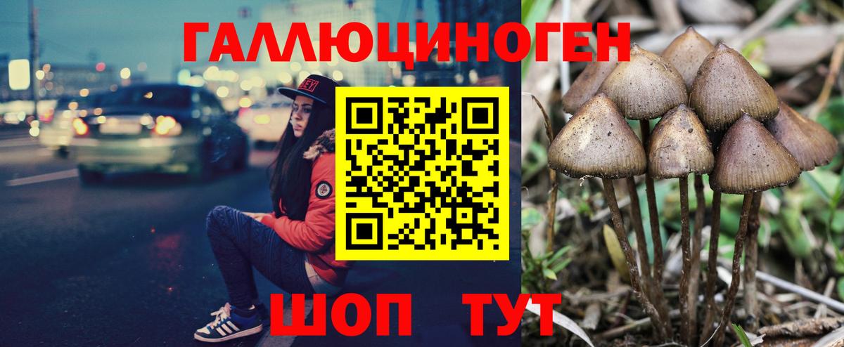 Элиста  Галлюциногенные грибы Cubensis  Галлюциногенные грибы MAGIC MUSHROOMS  Вход с VPN 
